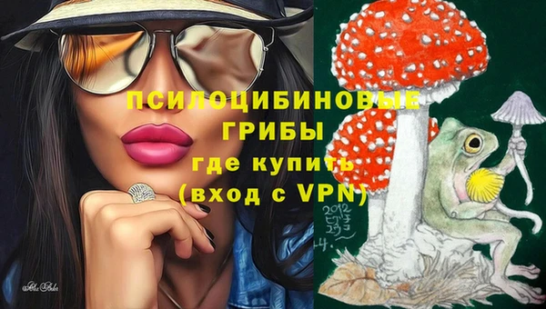 таблы Михайловск