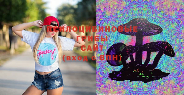 дживик Михайлов