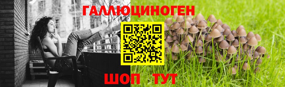 Галлюциногенные грибы ЛСД Котельники