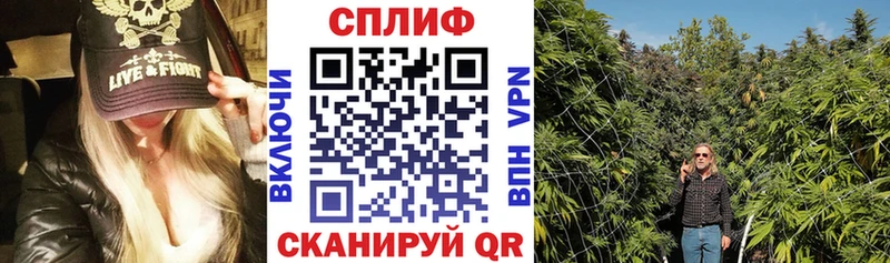купить наркоту  Котельники  Бошки марихуана Amnesia 